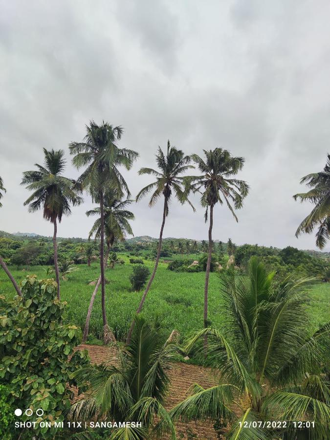 Vaibhav Home Stay ハンピ エクステリア 写真